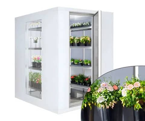 Szklane komory chłodnicze Premium